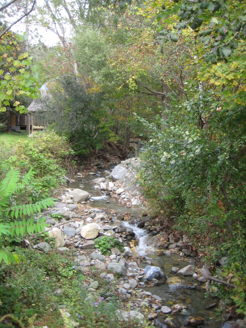 A stream in a wooded area.