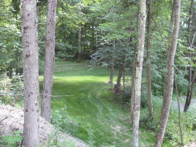 A grassy area in the middle of a wooded area.