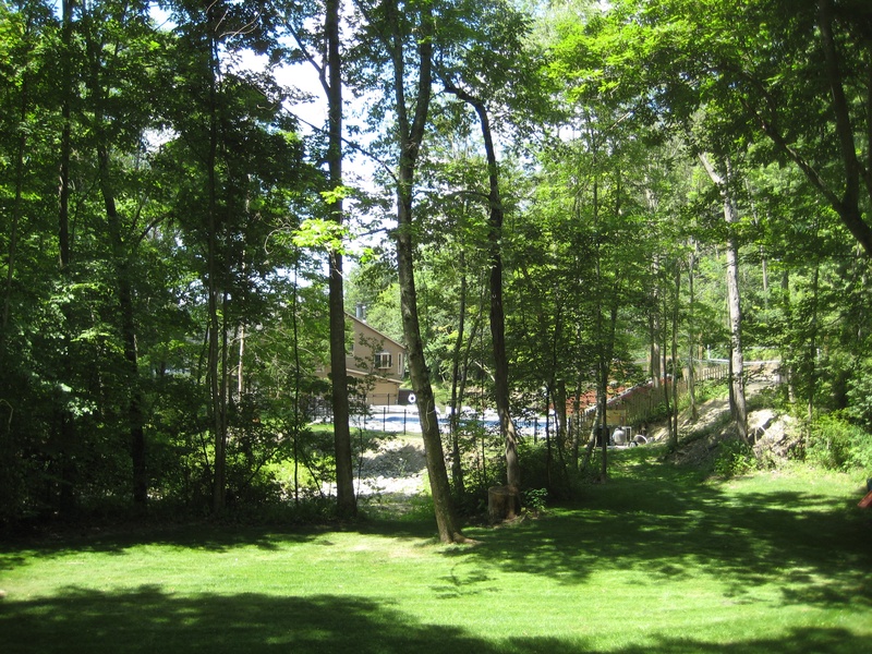 A view of a wooded area with a pool.