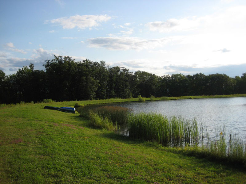 A lake in a grassy field.