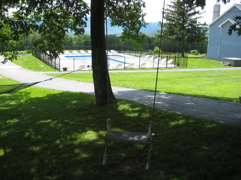 A swing in a grassy area near a swimming pool.