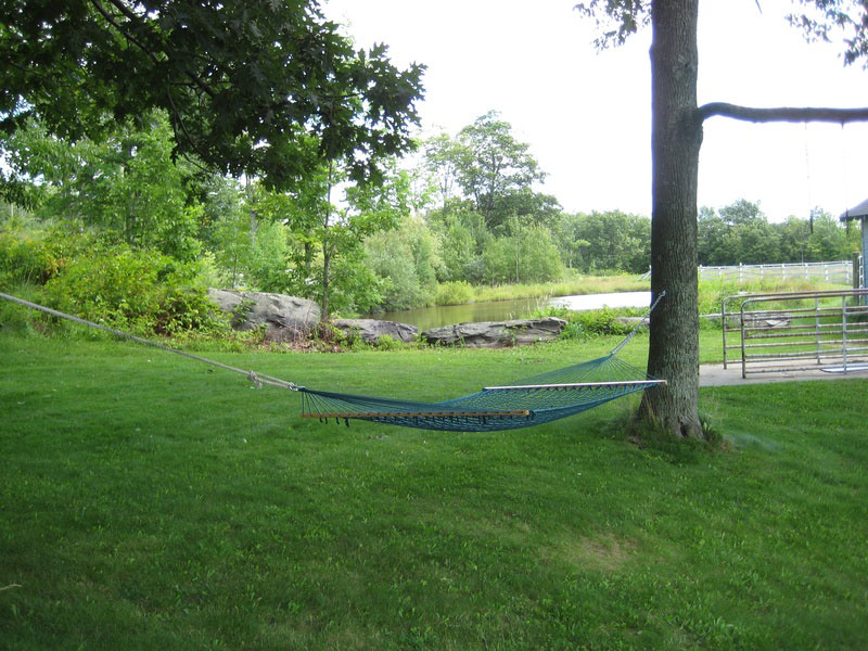 A hammock in a grassy area.