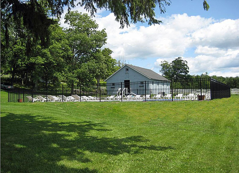 A large grassy area with a black fence around a house.