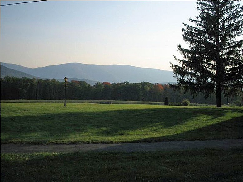 A grassy field with trees and mountains in the background.