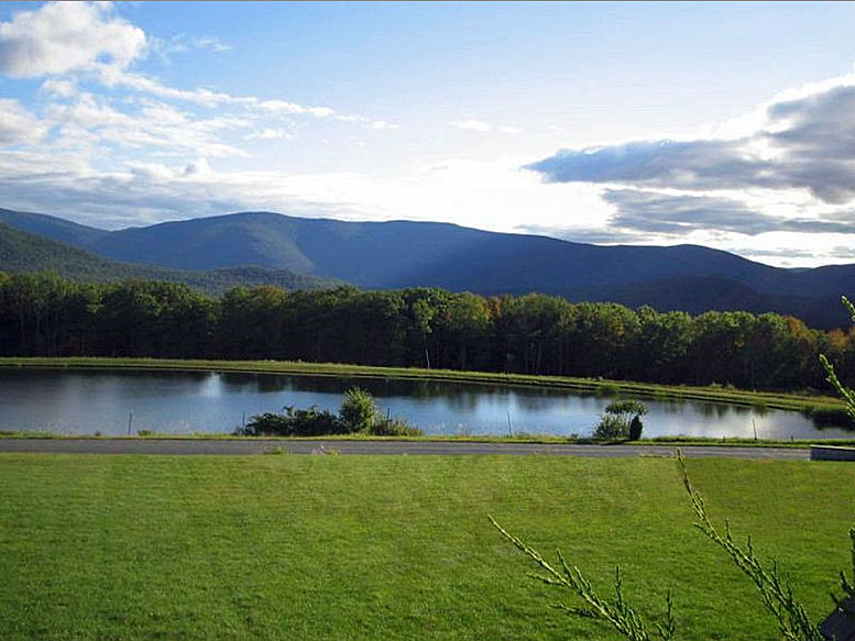 A pond in the middle of a grassy field with mountains in the background.