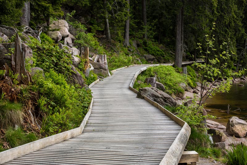 A wooden walkway leading to a lake in a forest.