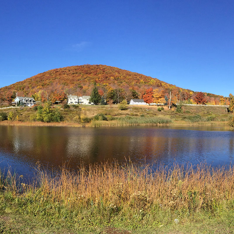 A lake with a hill in the background.