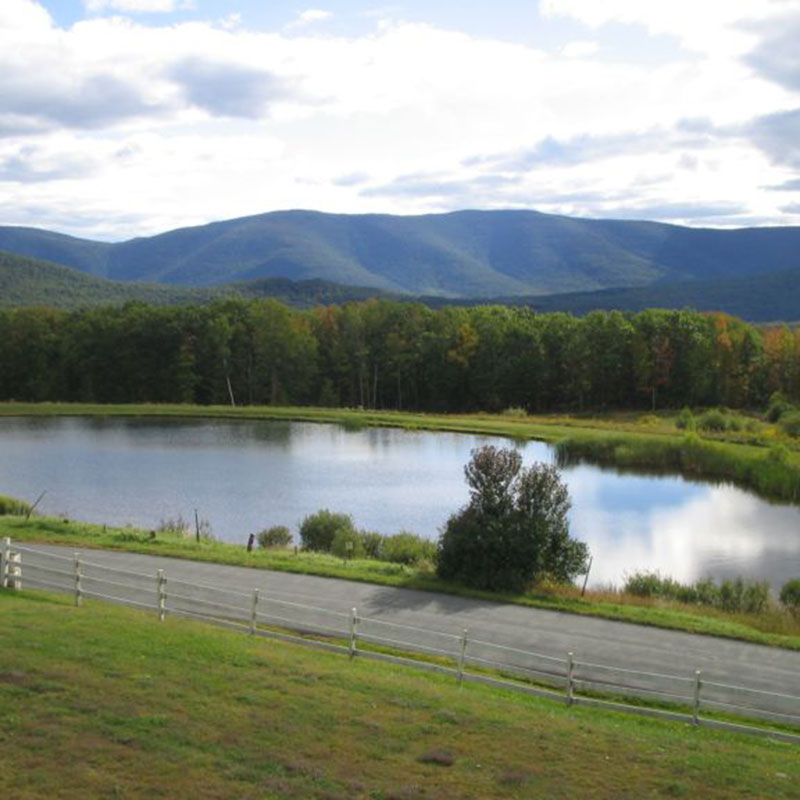 A pond in the middle of a field with mountains in the background.