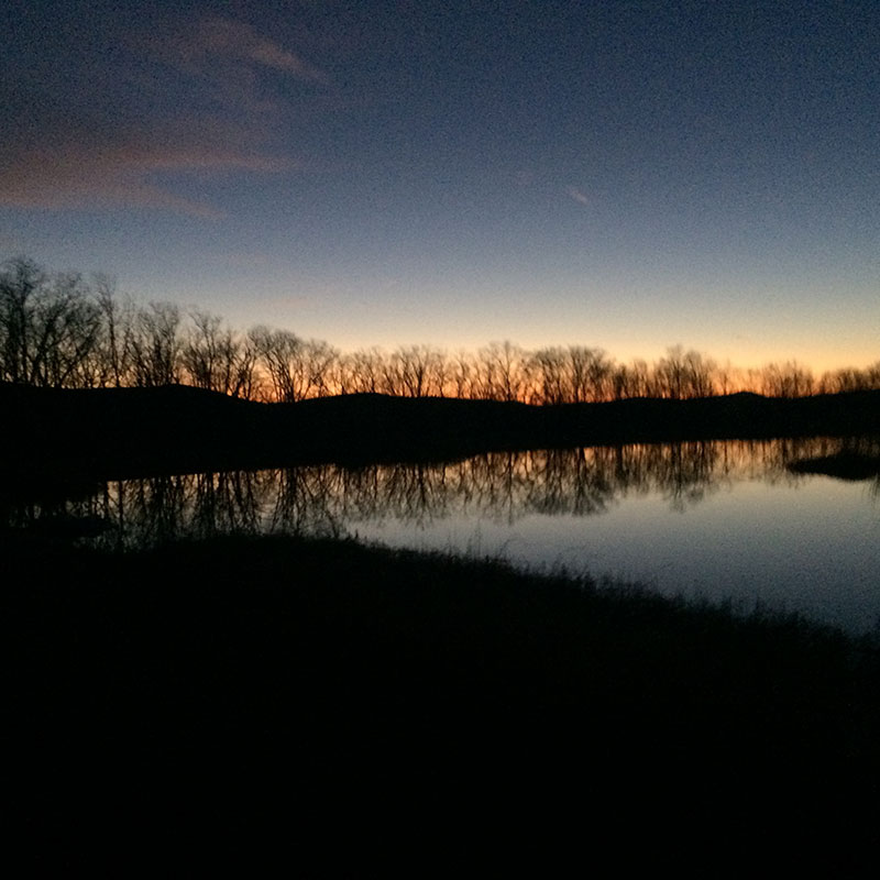 Sunrise over a pond at dusk.