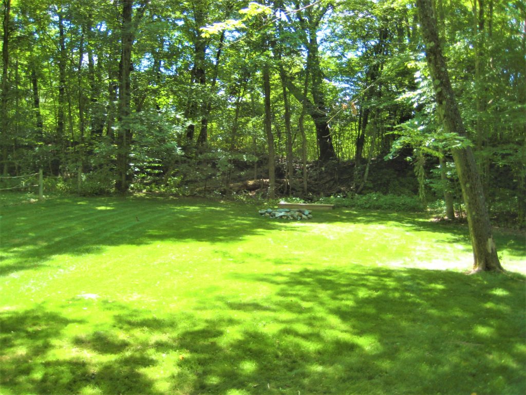A grassy area in the middle of a wooded area.