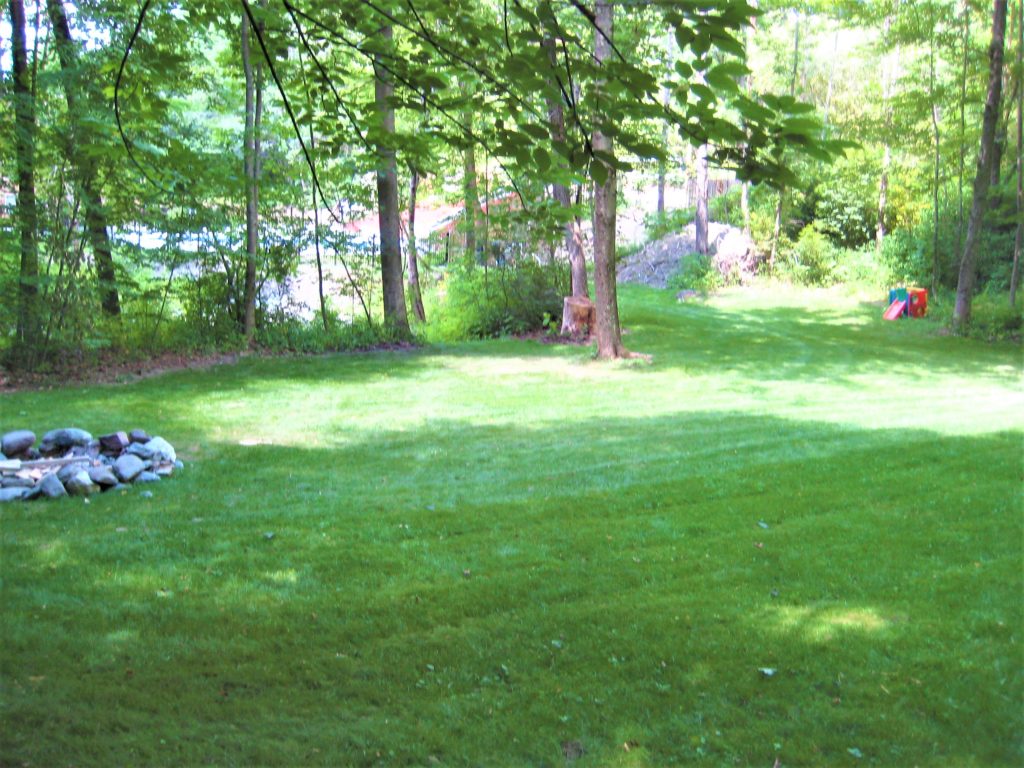 A grassy yard with trees and a fire pit.