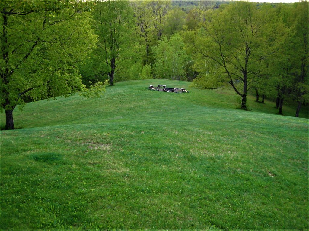 A grassy hill surrounded by trees