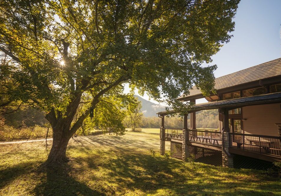 A house in the mountains with a large tree in the background.