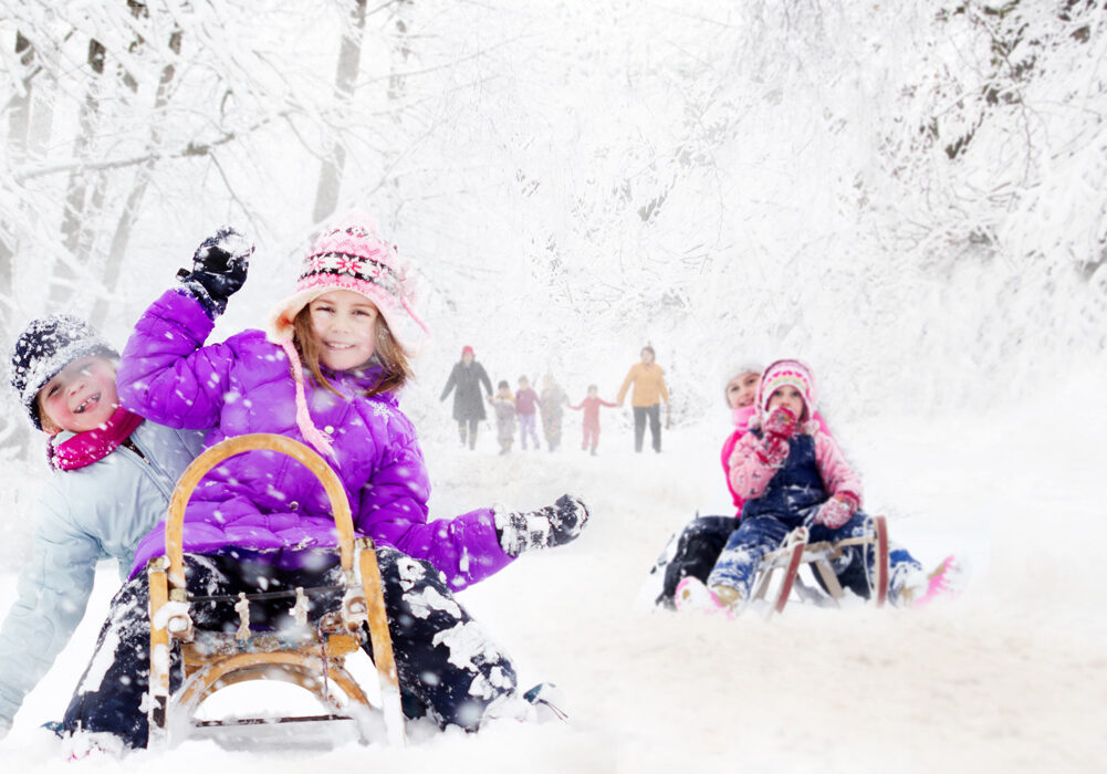 A group of children on a sled in the snow.